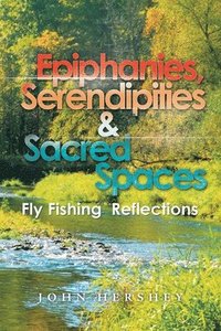 bokomslag Epiphanies, Serendipities & Sacred Spaces