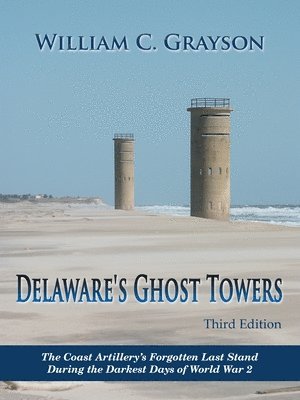 bokomslag Delaware's Ghost Towers Third Edition