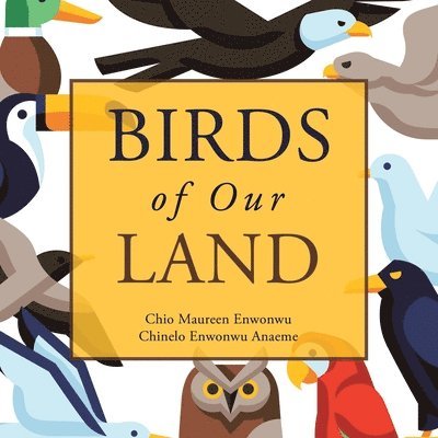 Birds of Our Land 1