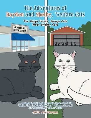 The Adventures of Hayden and Shelby, 'Welfare Cats 1