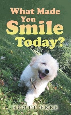 bokomslag What Made You Smile Today?