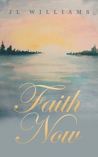 bokomslag Faith Now