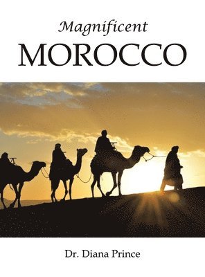 Magnificent Morocco 1