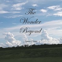 bokomslag The Wonder Beyond