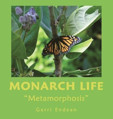 Monarch Life 1