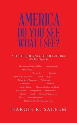 America Do You See What I See?