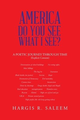 America Do You See What I See?