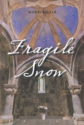 Fragile Snow 1