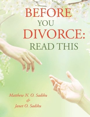 bokomslag Before You Divorce