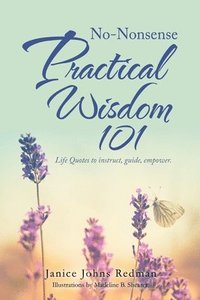 bokomslag No-Nonsense Practical Wisdom 101