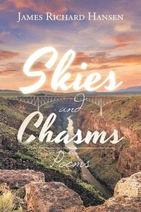 bokomslag Skies and Chasms