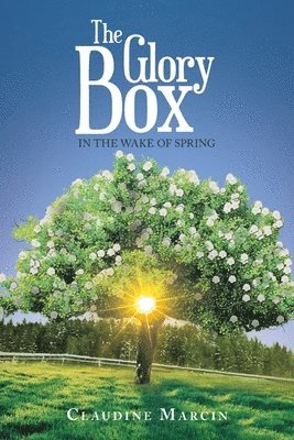 The Glory Box 1