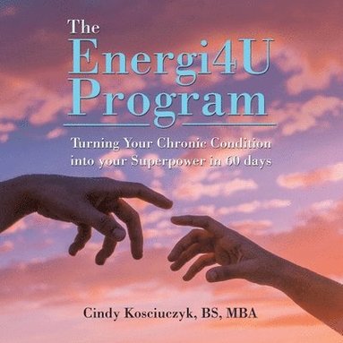 bokomslag Energi4u Program