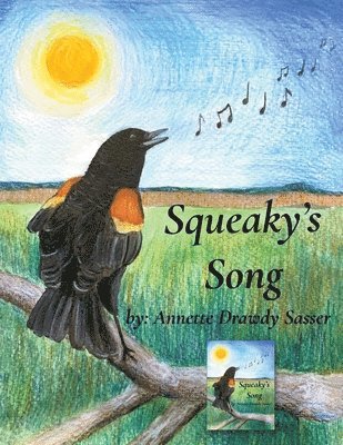 Annette Drawdy Sasser - Squeaky's Song, Häftad