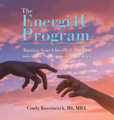 bokomslag Energi4u Program