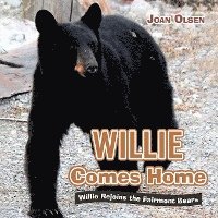 Willie Comes Home 1