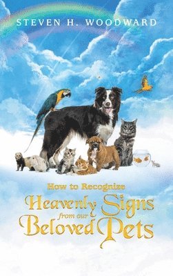 How to Recognize Heavenly Signs from Our Beloved Pets 1