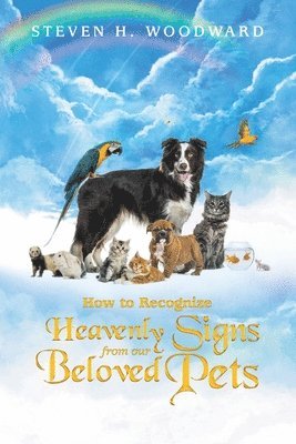 bokomslag How to Recognize Heavenly Signs from Our Beloved Pets