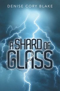 bokomslag A Shard of Glass