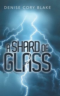 bokomslag A Shard of Glass