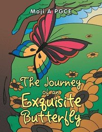 bokomslag The Journey of an Exquisite Butterfly