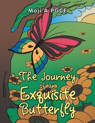 The Journey of an Exquisite Butterfly 1