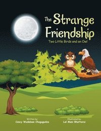 bokomslag The Strange Friendship