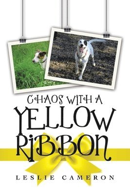 bokomslag Chaos with a Yellow Ribbon