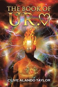 bokomslag Book of Ur.