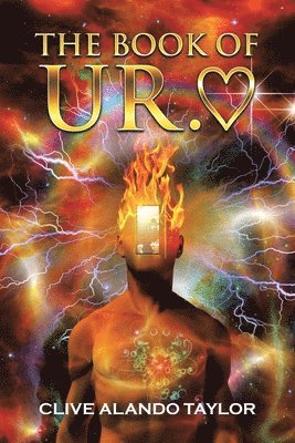 bokomslag Book of Ur.