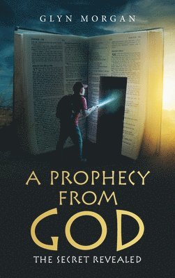 bokomslag Prophecy from God