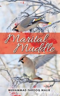 bokomslag Marital Muddle