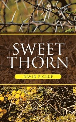 bokomslag Sweet Thorn