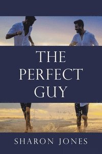 bokomslag Perfect Guy