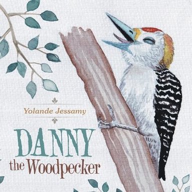 bokomslag Danny the Woodpecker