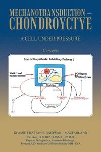 bokomslag Mechanotransduction - Chondroyctye