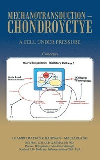 bokomslag Mechanotransduction - Chondroyctye