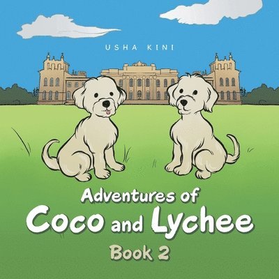 Adventures of Coco and Lychee 1