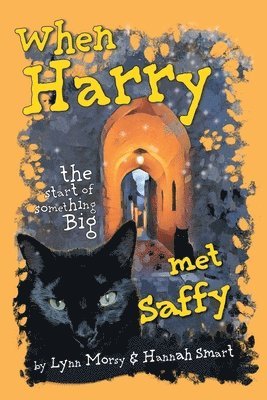 When Harry Met Saffy 1