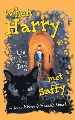 Lynn Morsy, Hannah Smart - When Harry Met Saffy, Inbunden