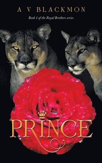 bokomslag Prince