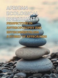 bokomslag African Ecological Spirituality
