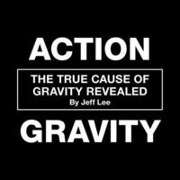 bokomslag Action Gravity