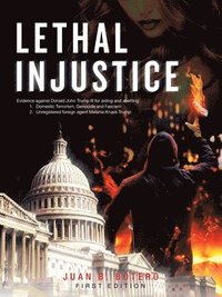 bokomslag Lethal Injustice