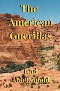 bokomslag The American Guerillas