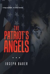 bokomslag Patriot's Angels