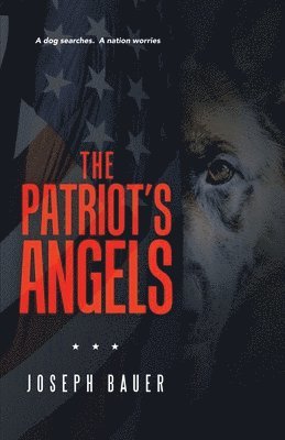 bokomslag Patriot's Angels