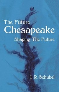 bokomslag The Future Chesapeake