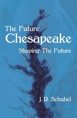 bokomslag The Future Chesapeake: Shaping the Future