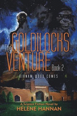 Goldilocks Venture Book 2